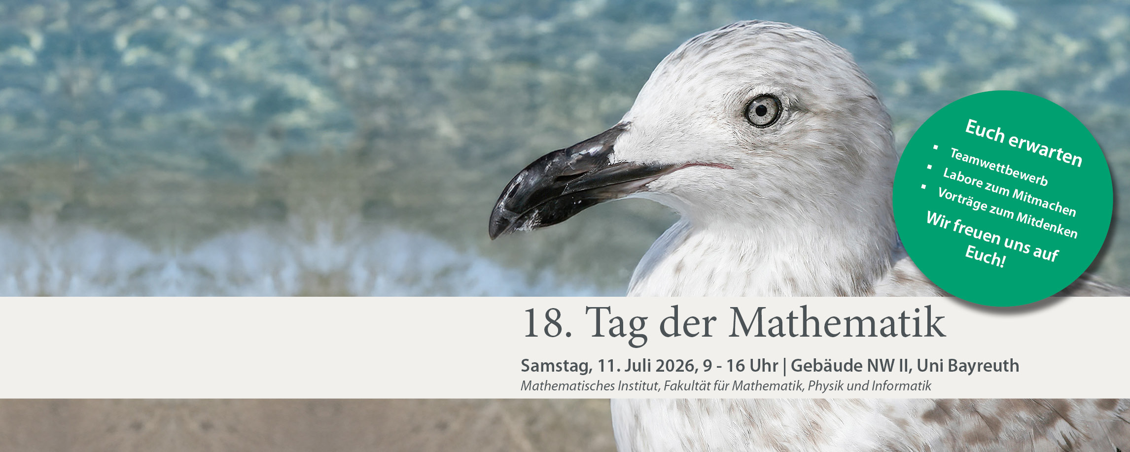 Plakatmotiv des 18. Tag der Mathematik: Möve am Wasser