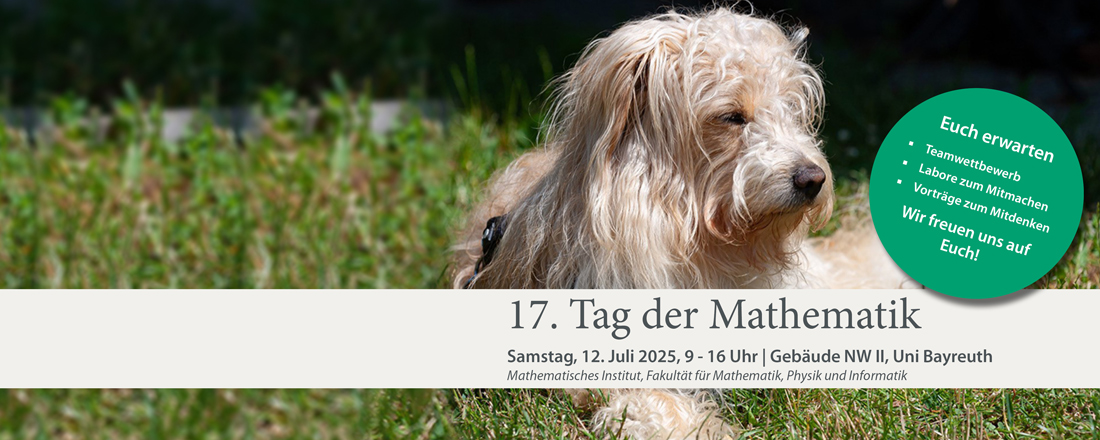 Plakatmotiv des 17. Tag der Mathematik: Hund liegt auf der Wiese